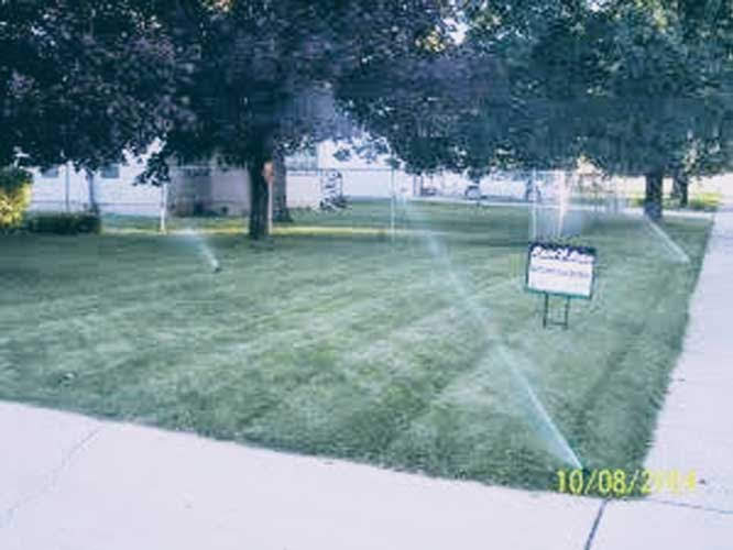 Lawn in Milford