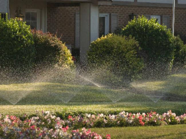 Sprays in a lawn instead of rotors