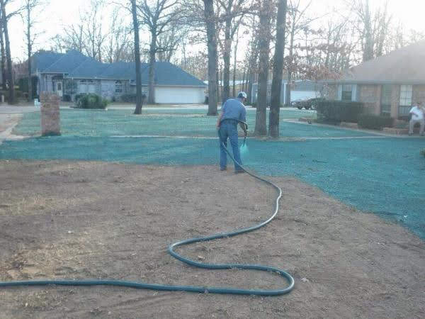 Hydroseeded Lawn